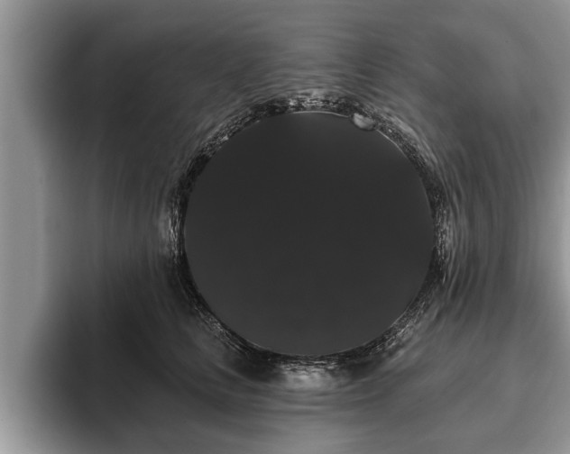 X0000093400661200710190925