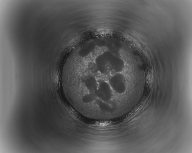 X0000093400662200710190925