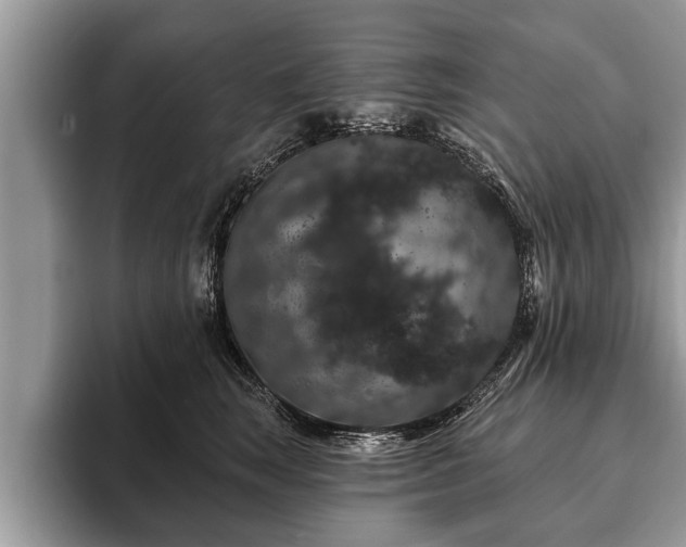 X0000093400663200710190925