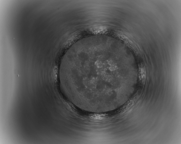 X0000093400664200710190925