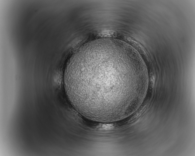 X0000093400665200710190925