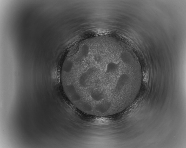 X0000093400666200710190925