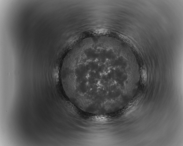 X0000093400668200710190925