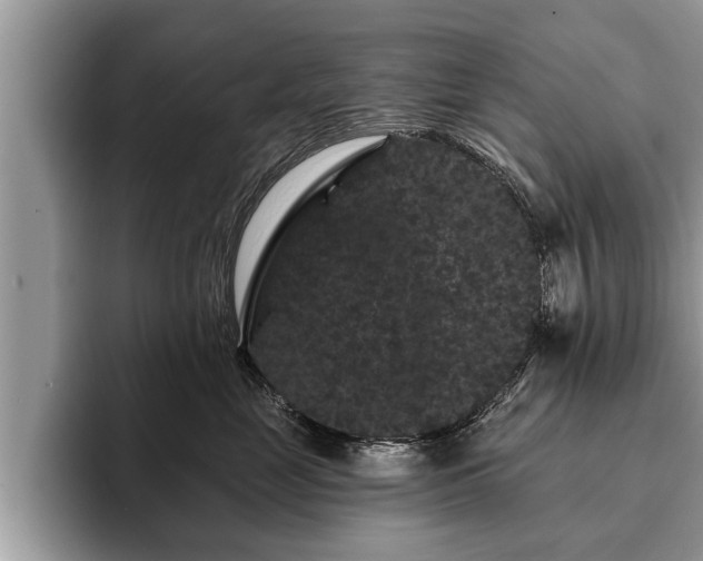 X0000093400669200710190925