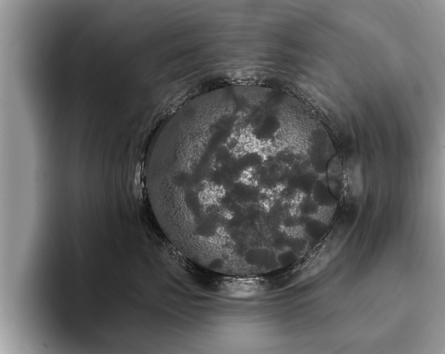 X0000093400671200710190925