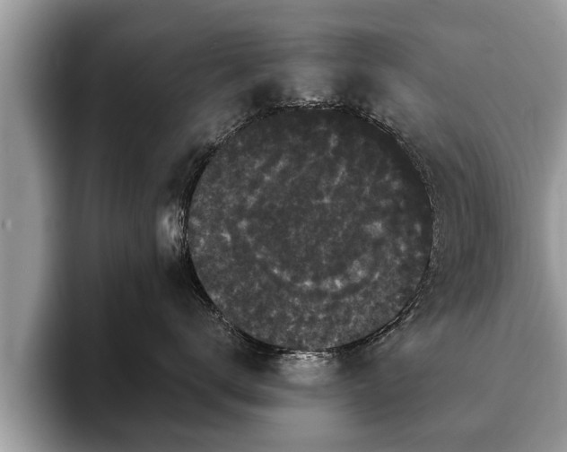 X0000093400672200710190925