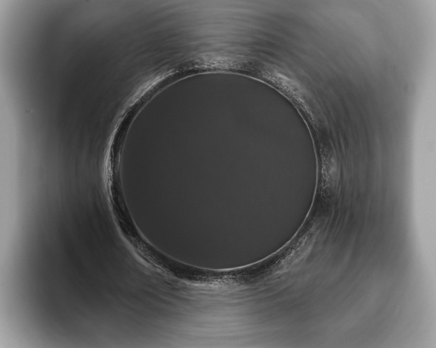 X0000093400674200710190925