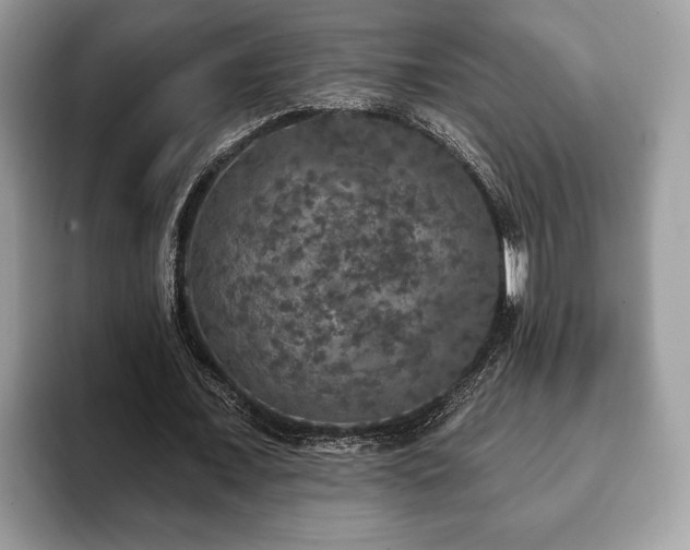 X0000093400675200710190925