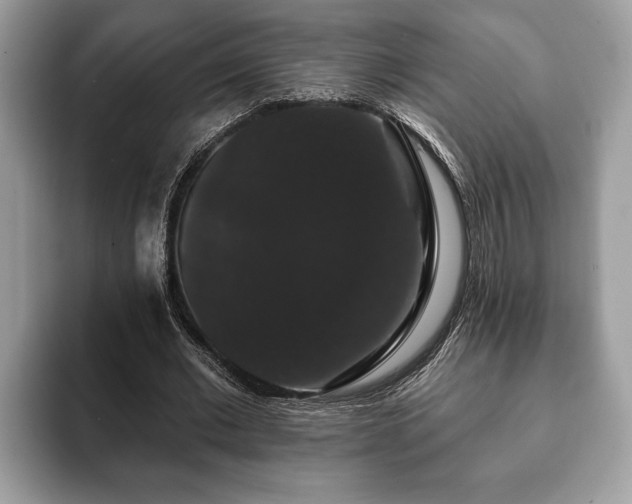 X0000093400677200710190925