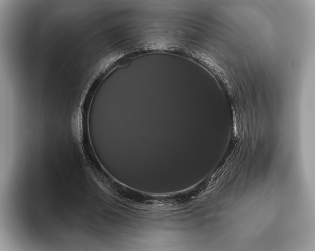 X0000093400678200710190925