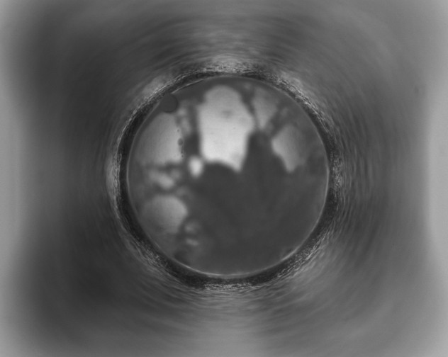X0000093400679200710190925