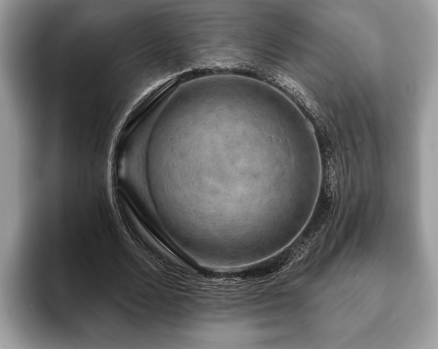 X0000093400680200710190925