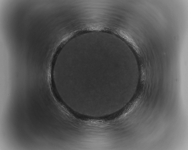 X0000093400681200710190925