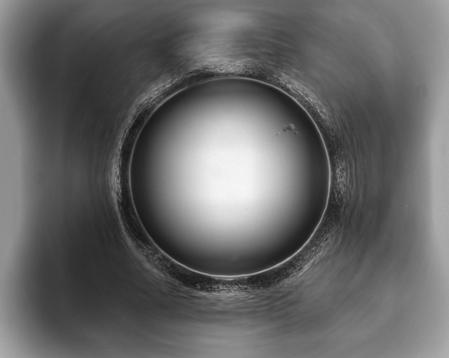 X0000093400682200710190925