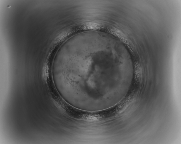 X0000093400683200710190925