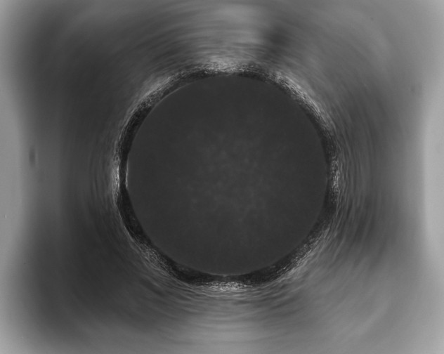 X0000093400685200710190925