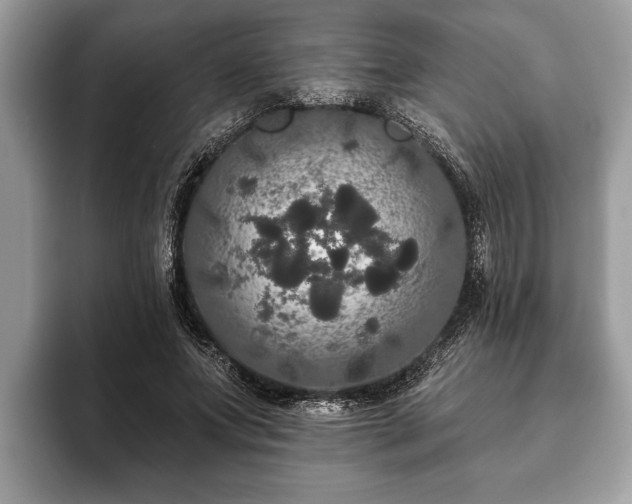 X0000093400687200710190924