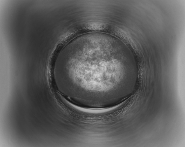 X0000093400688200710190924