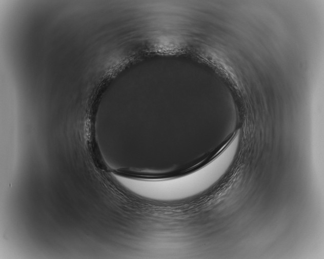 X0000093400689200710190924