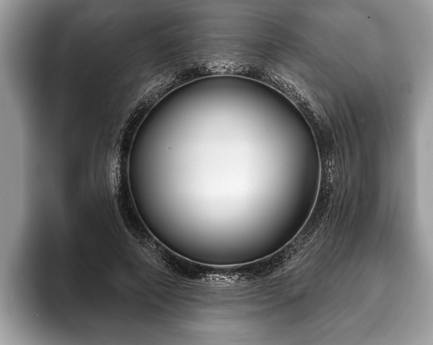 X0000093400690200710190924