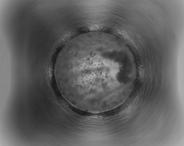 X0000093400691200710190924