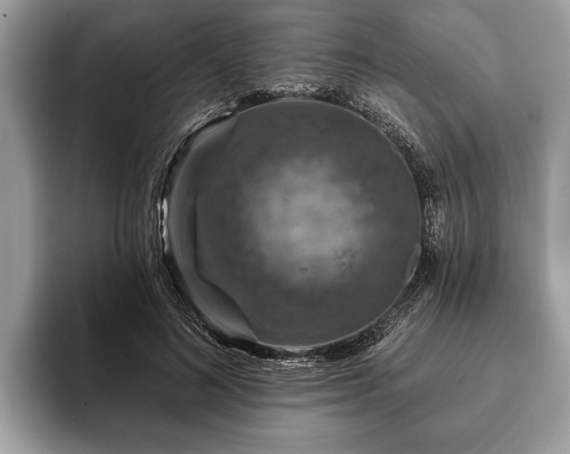 X0000093400692200710190924
