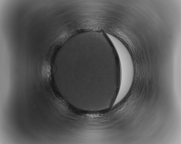 X0000093400693200710190924