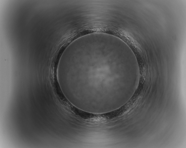 X0000093400696200710190924