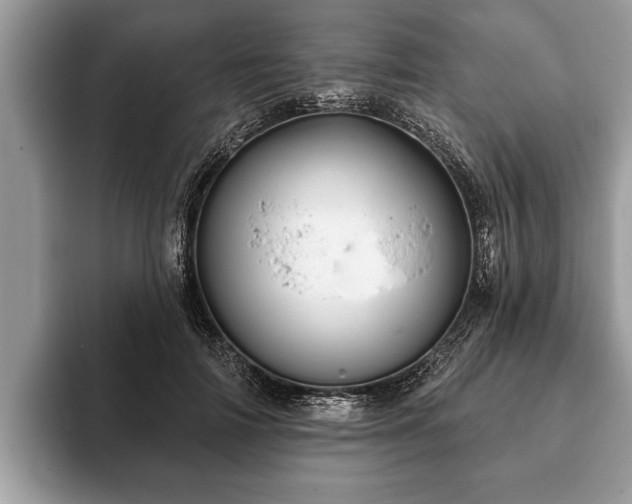 X0000093400698200710190924