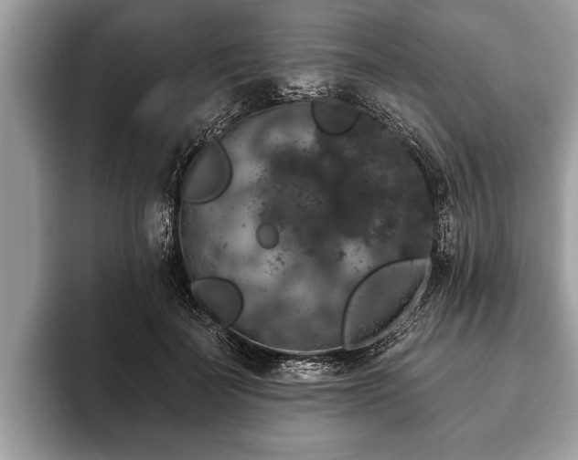 X0000093400699200710190924