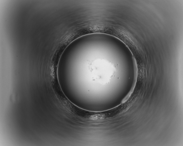 X0000093400700200710190924