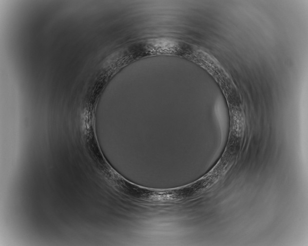 X0000093400701200710190924