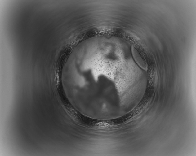 X0000093400703200710190924
