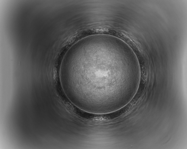 X0000093400704200710190924