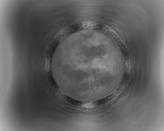 X0000093400705200710190924