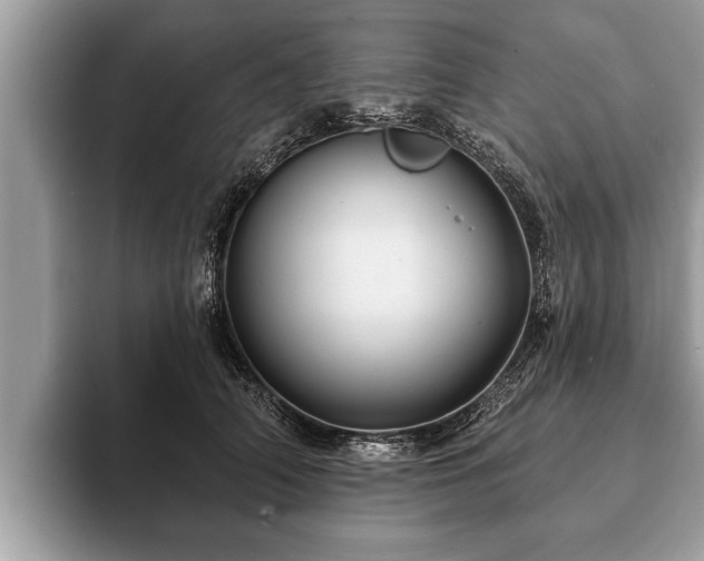 X0000093400706200710190924
