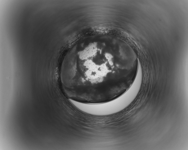 X0000093400707200710190924