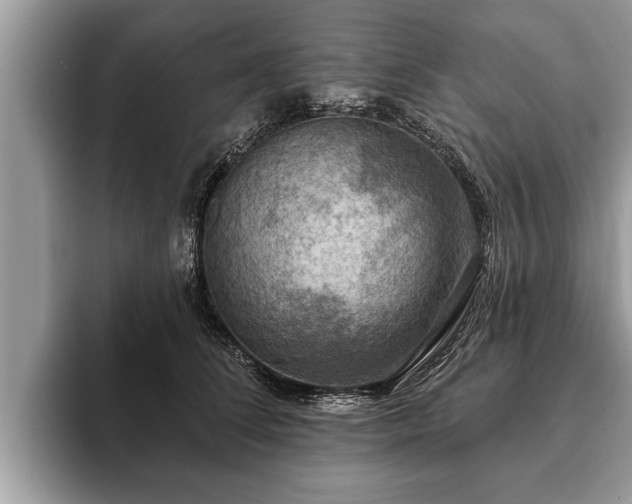 X0000093400708200710190924