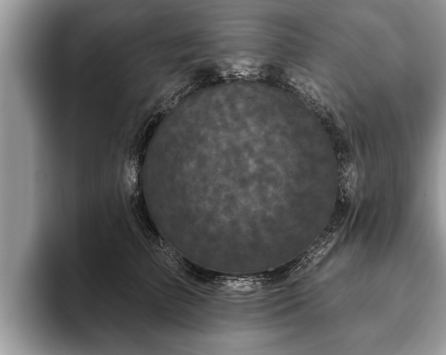 X0000093400709200710190924