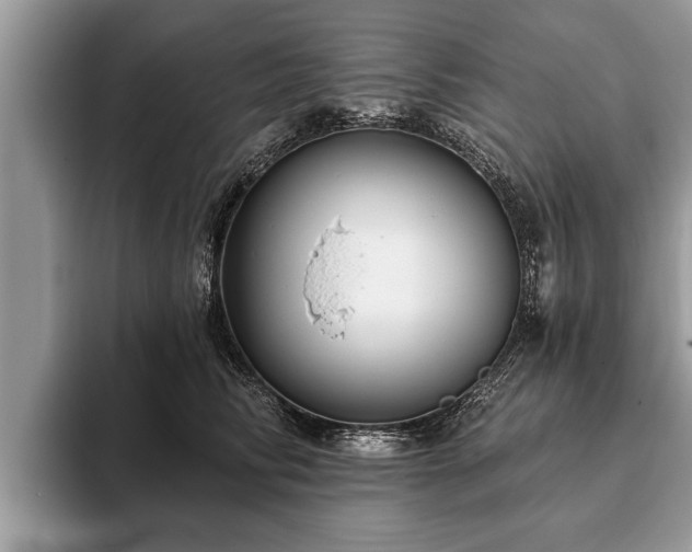 X0000093400710200710190924