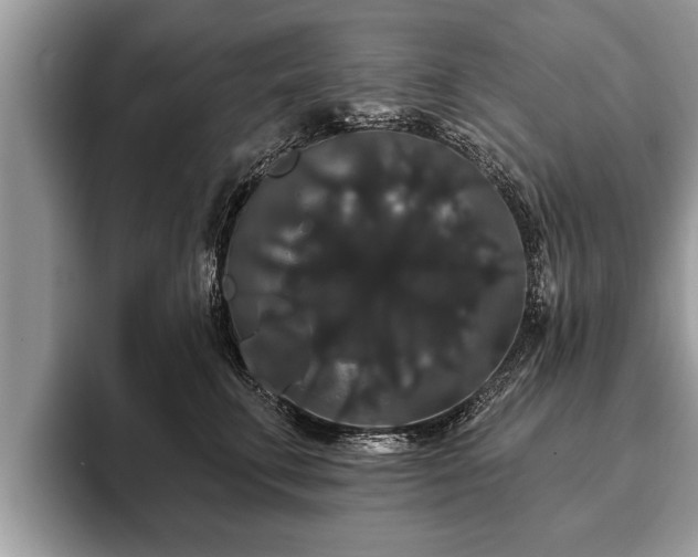 X0000093400711200710190924