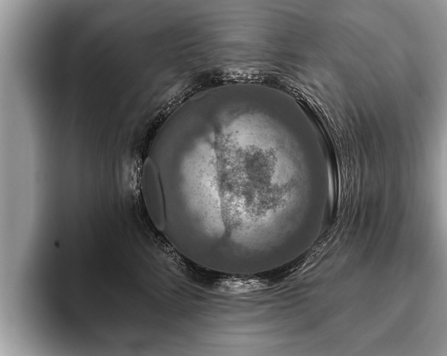 X0000093400712200710190924