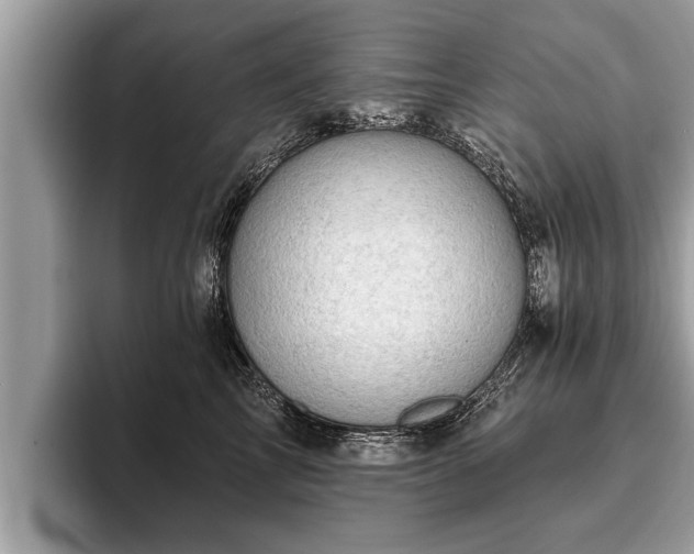 X0000093400713200710190924