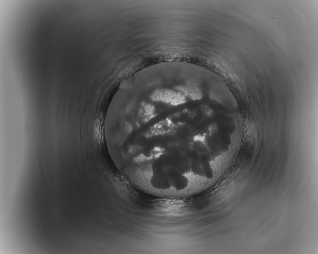 X0000093400719200710190924
