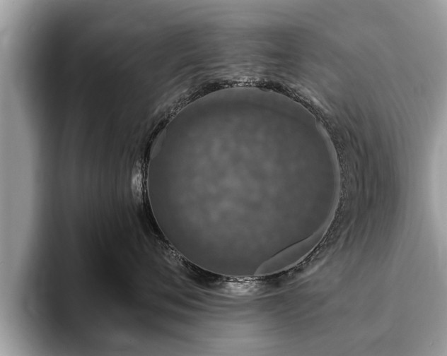 X0000093400720200710190924