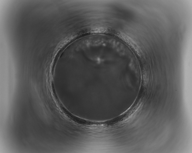 X0000093400721200710190923