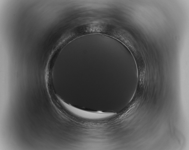 X0000093400722200710190923