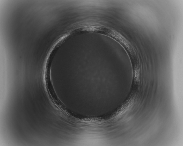 X0000093400724200710190923
