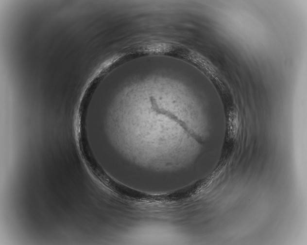 X0000093400726200710190923