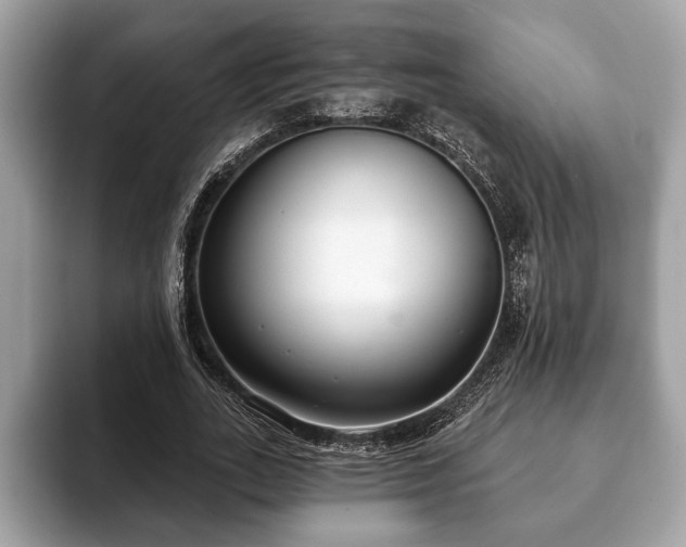 X0000093400727200710190923